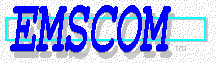 Link Page to Emergency Medical Services Sites