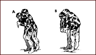 LESSON 16 TRANSPORT A CASUALTY