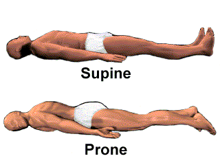 Prone vs. Supine: The Simple Difference